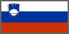 Slovenia Flag