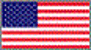 USA Flag